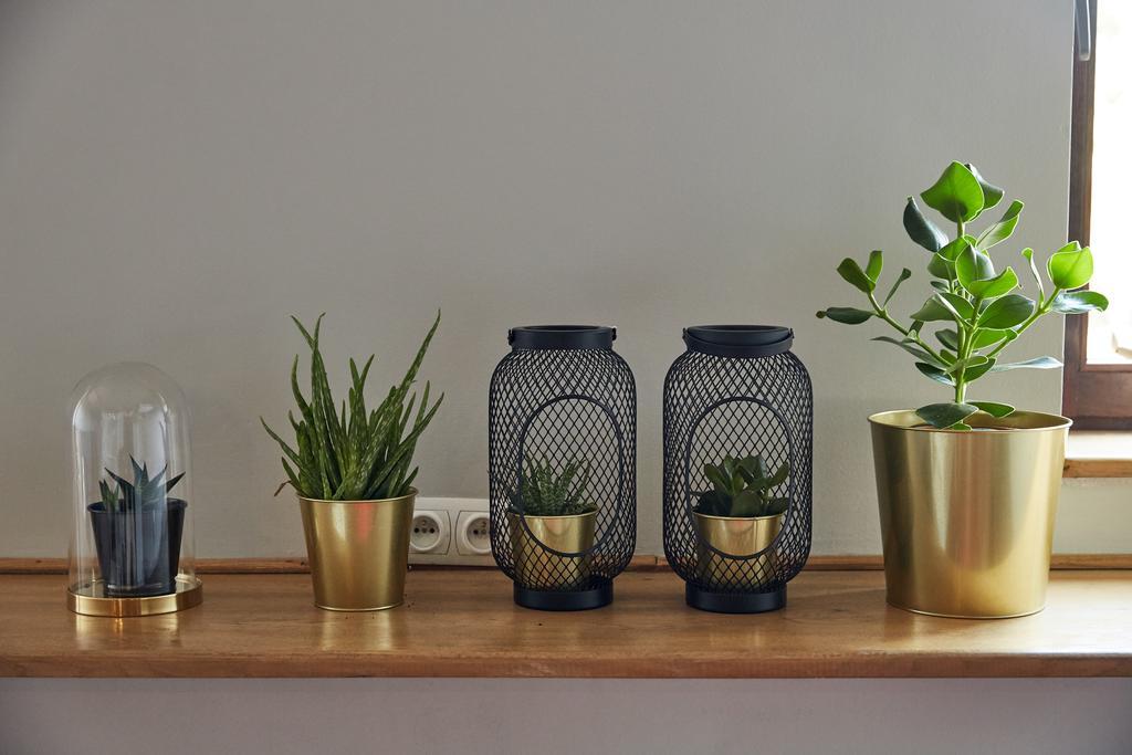 Apartament Playhouse Kraków
